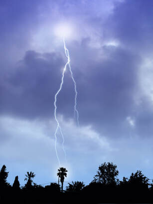 Monsoon storm lightning strikes palm tree causing damage.
